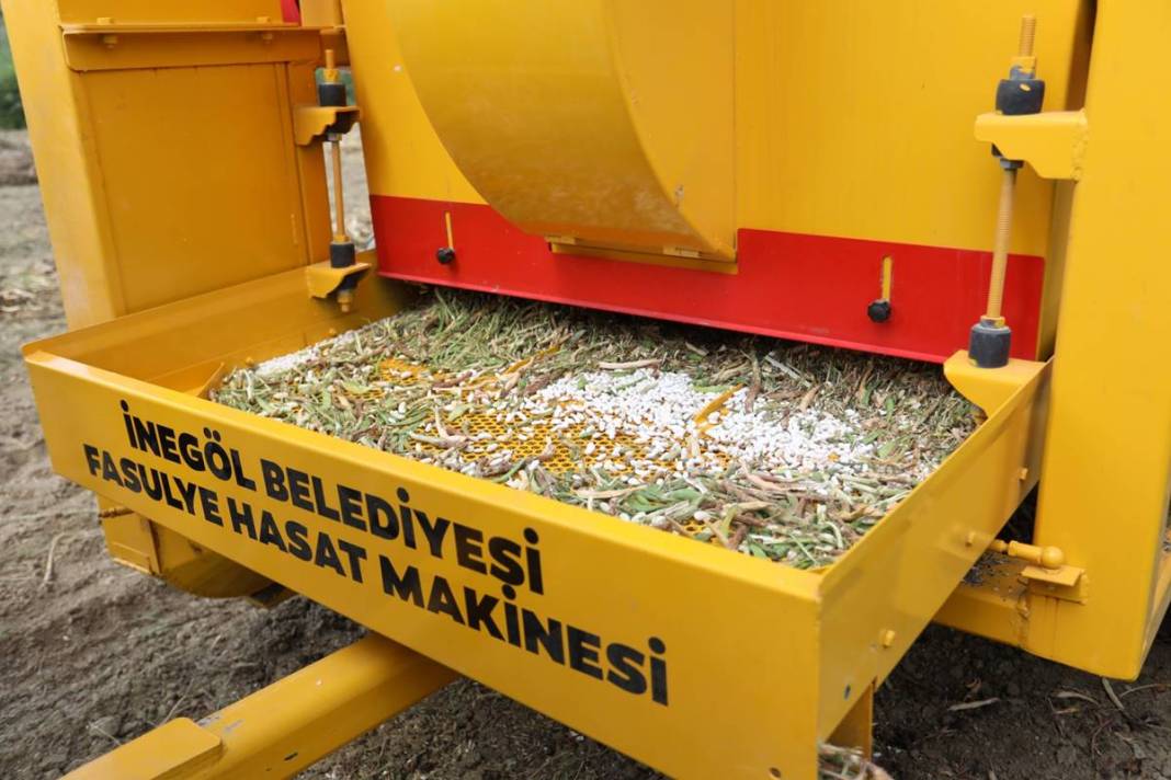 Coğrafi işaretli lezzet için hasat zamanı: Talep patlaması yaşanıyor! Belediye ücretsiz dağıttı 2